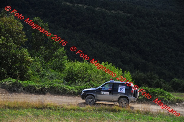 DSC_7565.JPG